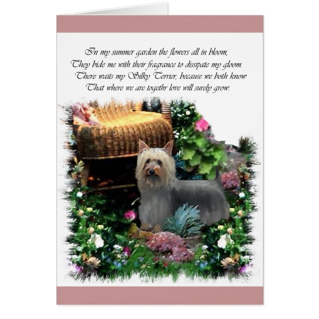 Silky Terrier Kunstgeschenke (Vorne)