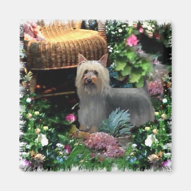 Silky Terrier Kunstgeschenke Magnet (Vorne)