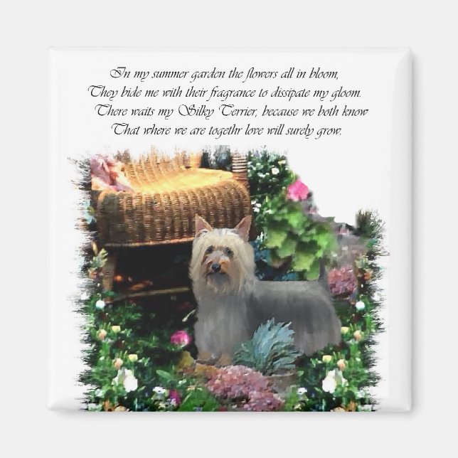 Silky Terrier Kunstgeschenke Magnet (Vorne)