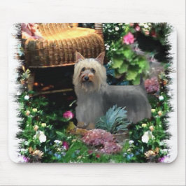Silky Terrier Kunstgeschenke Mousepad