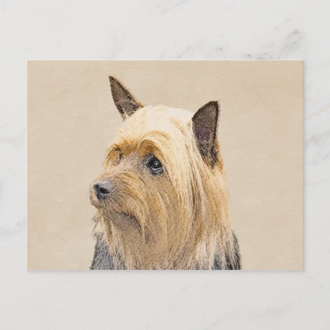 Silky Terrier Painting - Niedliche Original Dog Ar Postkarte (Vorderseite)