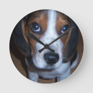 Silly Dog Randy beagle puppy Runde Wanduhr