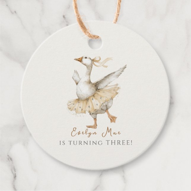 Silly Goose 3rd Birthday Watercolor Geschenkanhänger (Vorderseite)