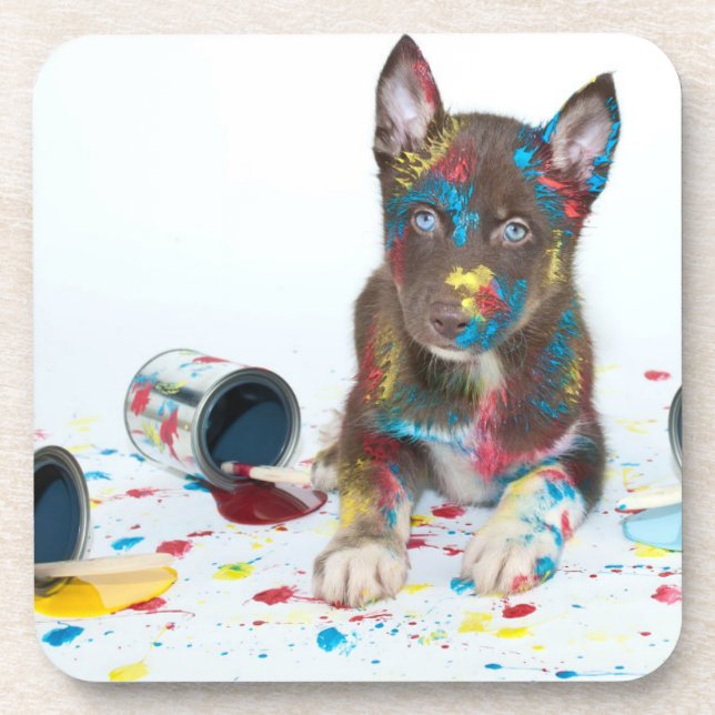 Silly Husky Puppy got into Paint Buckets Getränkeuntersetzer (Vorderseite)