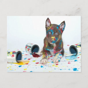 Silly Husky Puppy got into Paint Buckets Postkarte