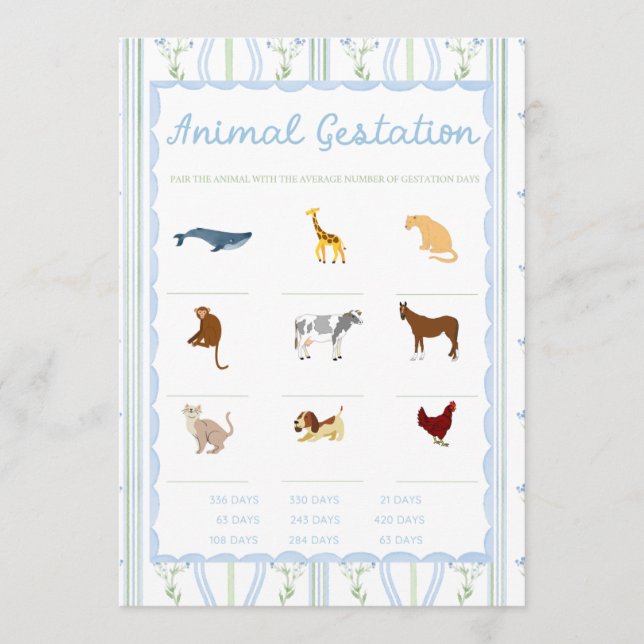 Silly Little Goose Baby Shower Games (Vorderseite)