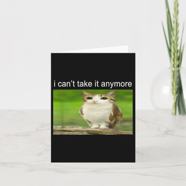 Silly Owl Cat Meme I Can't Take It Anymore  Karte (Vorderseite)