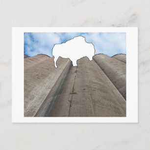 Silo und Buffalo Postcard Postkarte