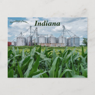 Silos und ein Cornfield in Indiana Postkarte