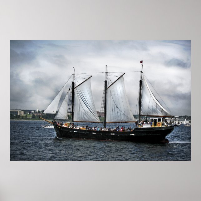 Silva Print Poster (Vorne)