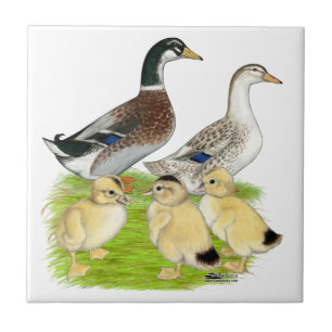 Silver Appleyard Family Fliese