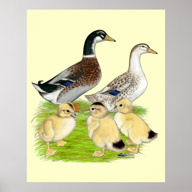 Silver Appleyard Family Poster (Vorne)