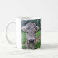 Silver Belle Tasse