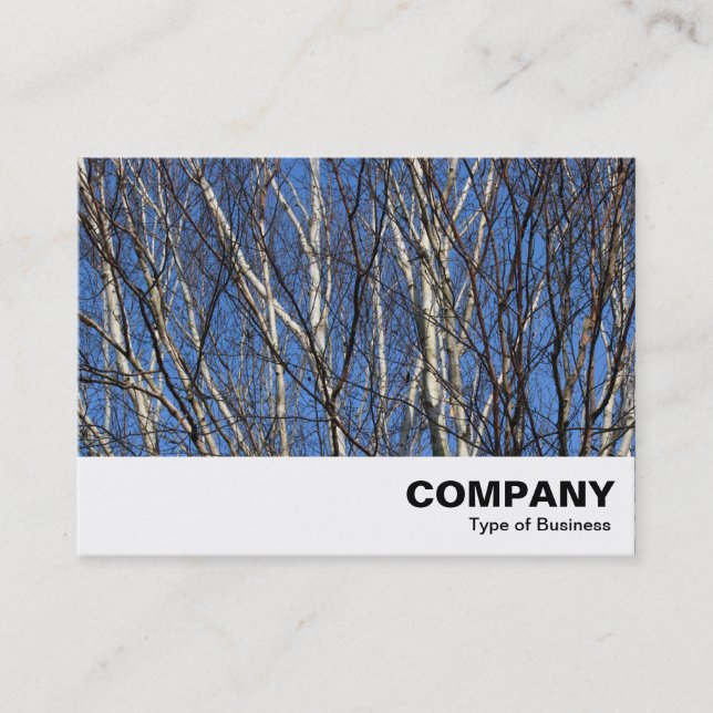 Silver Birch Branches Visitenkarte (Vorderseite)