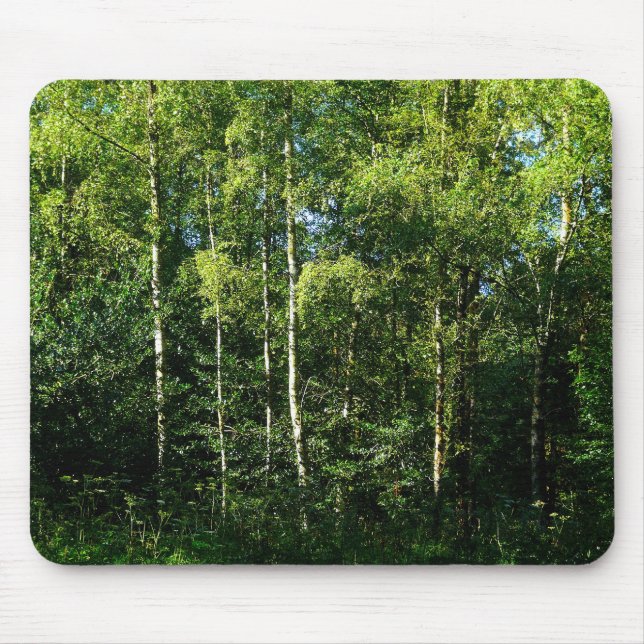Silver Birch Mousepad (Vorne)