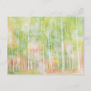Silver Birch Trees Postkarte