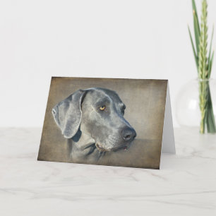 Silver Blue Weimaraner Portrait Karte