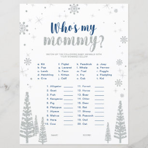 Silver & Blue Winter Wonderland Baby Showspiel