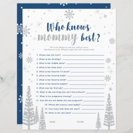 Silver & Blue Winter Wonderland Baby Showspiel