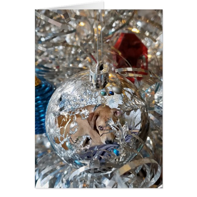 Silver Bulb Reflect (Vorne)