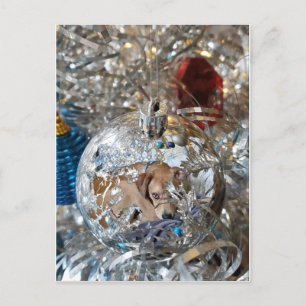 Silver Bulb Reflect Postkarte