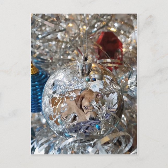 Silver Bulb Reflect Postkarte (Vorderseite)