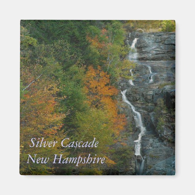 Silver Cascade NH Magnet (Vorne)