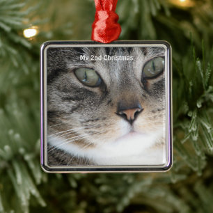 Silver Cat Mein 2. Weihnachtsfest Foto Ornament Aus Metall