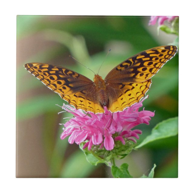 Silver Checkerspot Butterfly Fliese (Vorderseite)