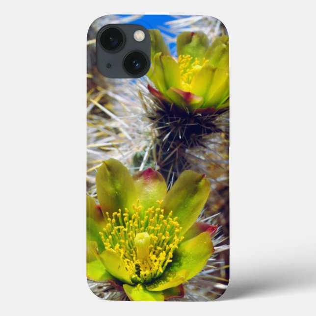 Silver Cholla Cactus Wildblumen Case-Mate iPhone Hülle (Rückseite)