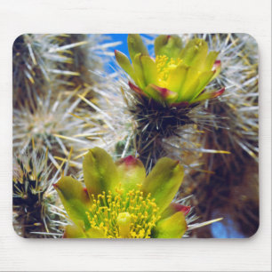 Silver Cholla Cactus Wildblumen Mousepad