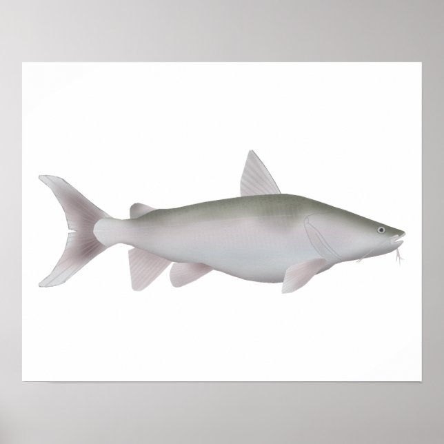 Silver Cobbler Poster (Vorne)