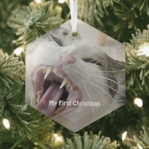 Silver Crazy Cat My First Christmas Foto Ornament Aus Glas