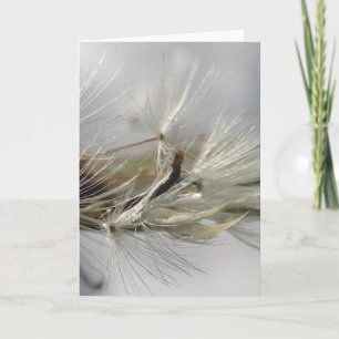 Silver Dandelion Poof Shimmers in Sun Karte