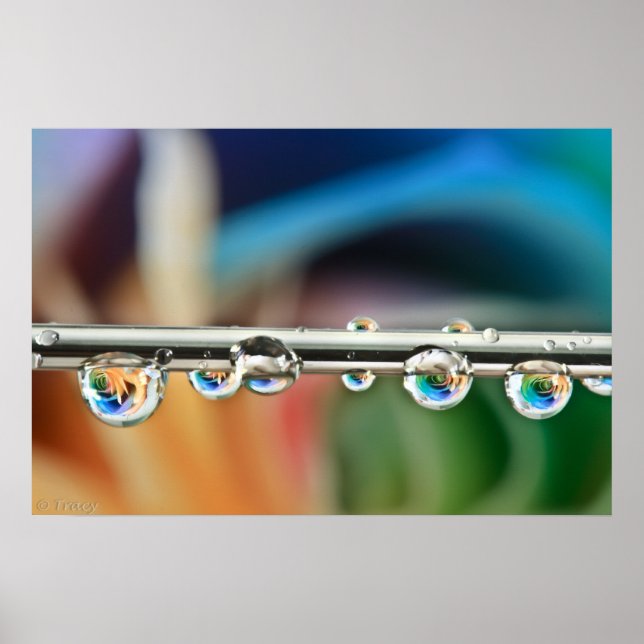 Silver Drops Poster (Vorne)