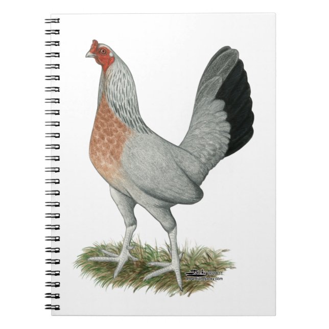 Silver Duckwing Game Hen Notizblock (Vorderseite)