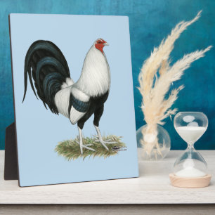 Silver Duckwing Gamecock Fotoplatte