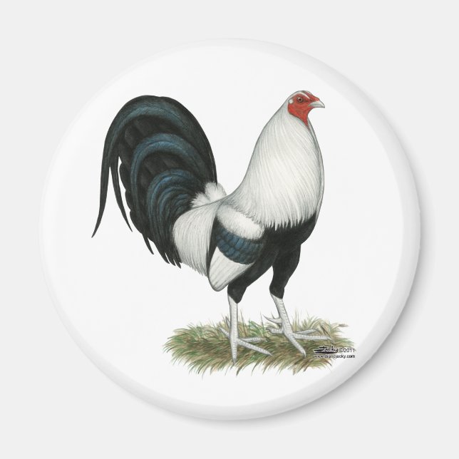 Silver Duckwing Gamecock Magnet (Vorne)