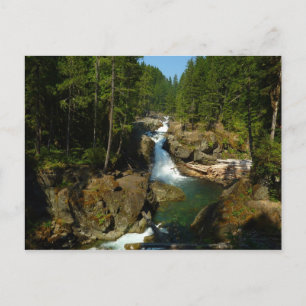 Silver Falls im Mount Rainier National Park Postkarte