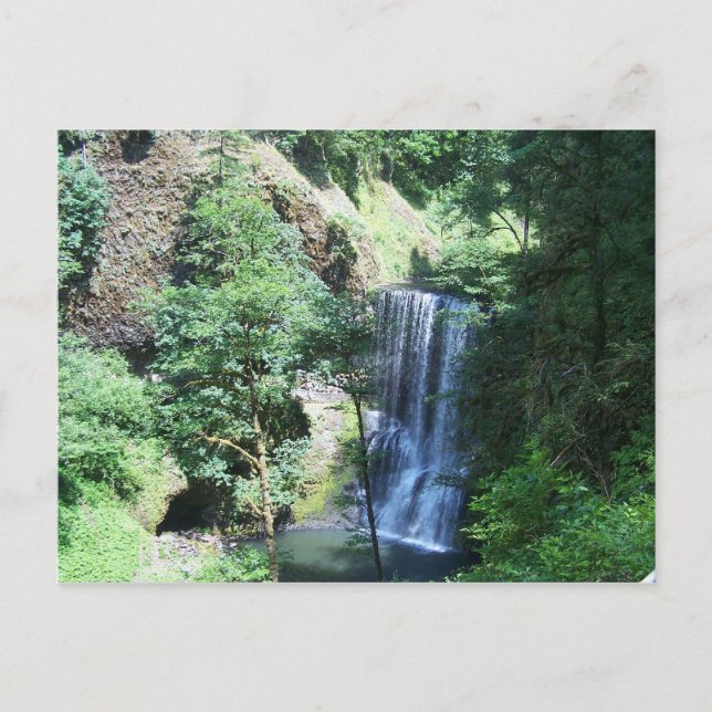 Silver Falls Staat Park Postcard Postkarte (Vorderseite)