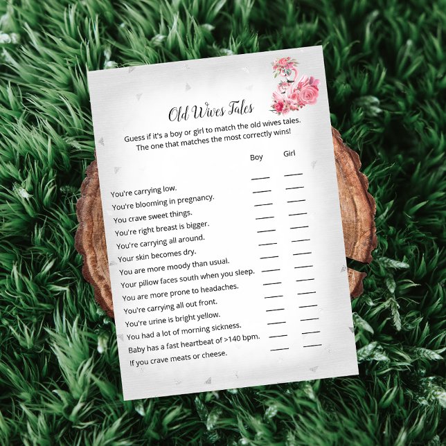 Silver Flamingo Ballerina Alte Ehefrauen Tale Game Einladung (Von Creator hochgeladen)