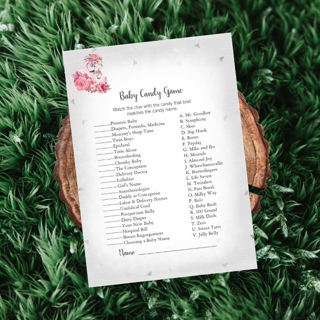 Silver Flamingo Ballerina Baby Candy Showspiel Einladung (Von Creator hochgeladen)