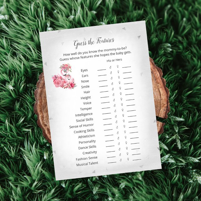 Silver Flamingo Ballerina Guess Baby Features Spie Einladung (Von Creator hochgeladen)