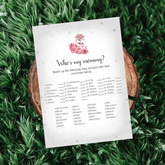 Silver Flamingo Ballerina, mein Mommy Baby Game Einladung (Von Creator hochgeladen)