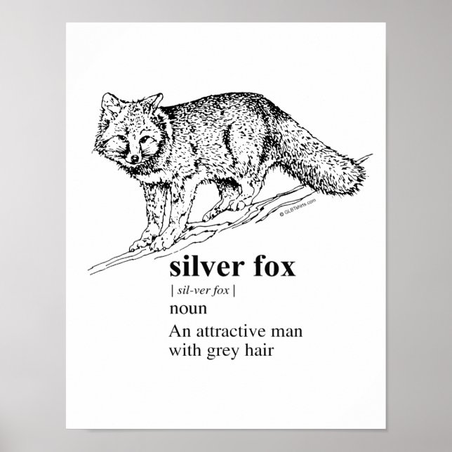 SILVER FOX - POSTER (Vorne)