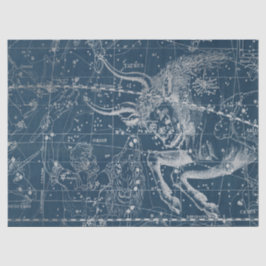 Silver Galaxy Star Map Series Design 9 Seidenpapier