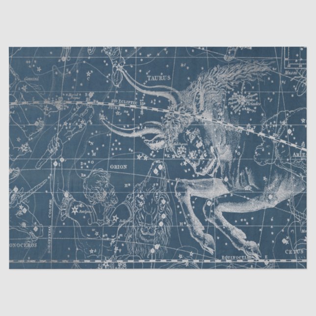 Silver Galaxy Star Map Series Design 9 Seidenpapier (Vorderseite)