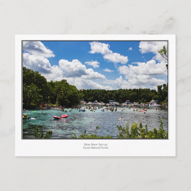 Silver Glenn Springs Postkarte (Vorderseite)