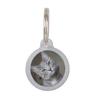 Silver Glitzer Cat Kitten Hauseigentümer Foto Haus Haustiermarke