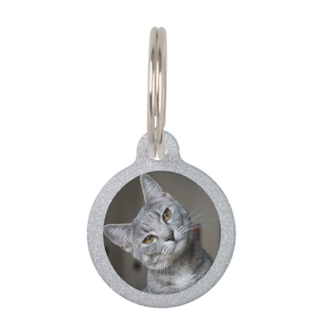 Silver Glitzer Cat Kitten Hauseigentümer Foto Haus Haustiermarke (Vorderseite)